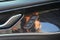 2024 Jeep Grand Cherokee 4xe Trailhawk